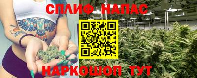 мяу мяу мука Краснознаменск